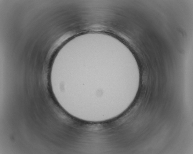 X0000112961410200910081036