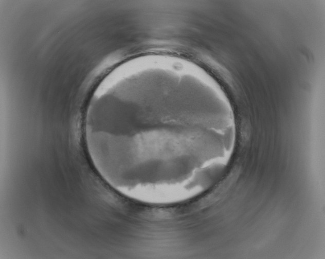 X0000112961411200910081036