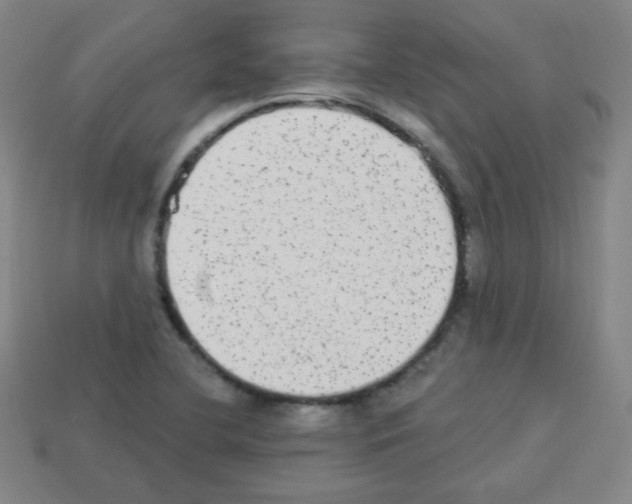 X0000112961412200910081036