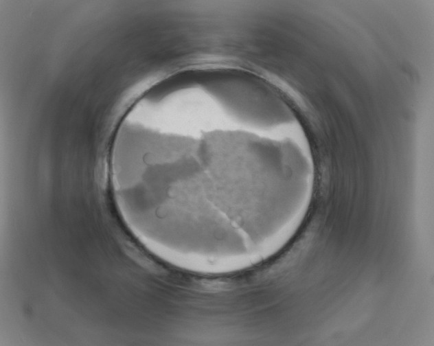 X0000112961413200910081036