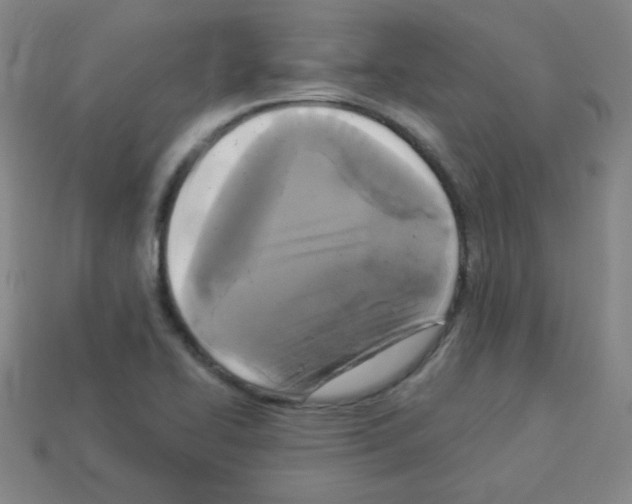 X0000112961414200910081036