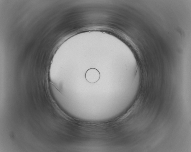 X0000112961417200910081036