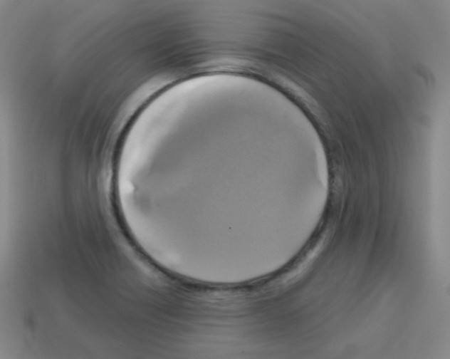 X0000112961418200910081036