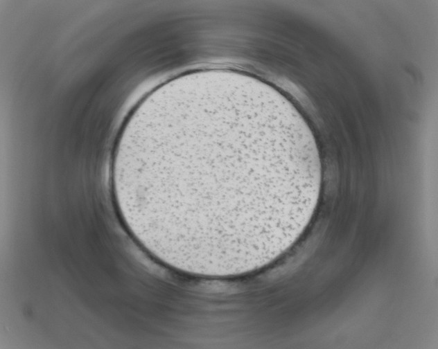 X0000112961420200910081036