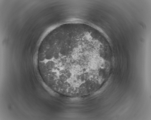 X0000112961421200910081036