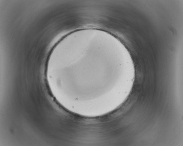 X0000112961422200910081036