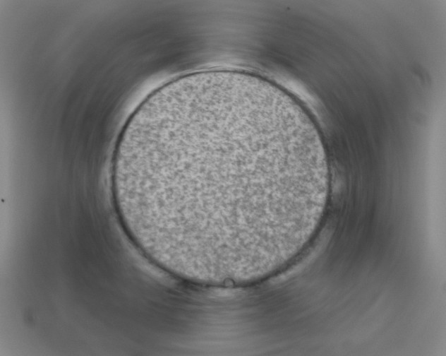 X0000112961423200910081036