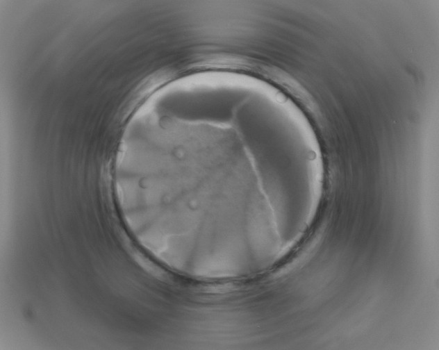 X0000112961425200910081036