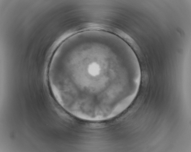 X0000112961427200910081036