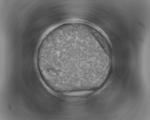 X0000112961429200910081036