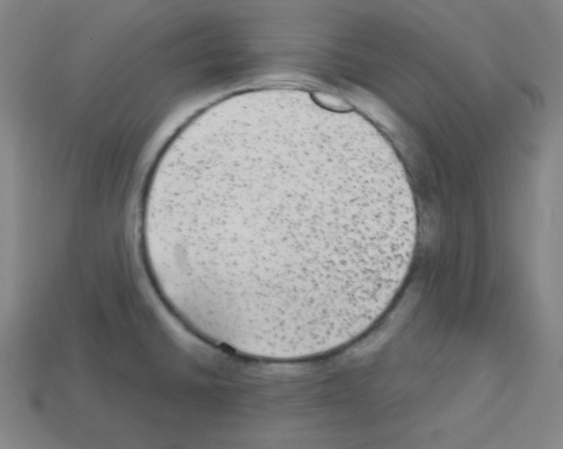 X0000112961430200910081036