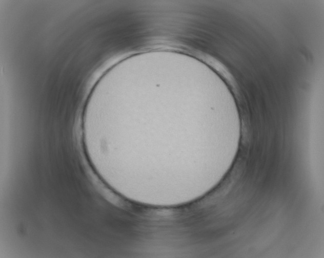 X0000112961431200910081036