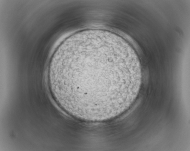 X0000112961432200910081036