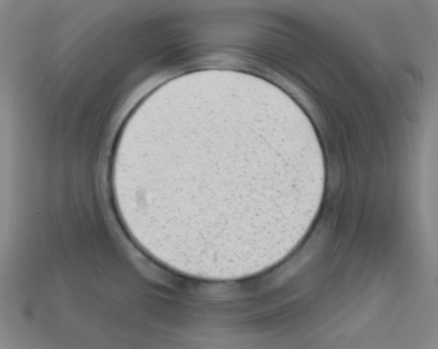 X0000112961434200910081036