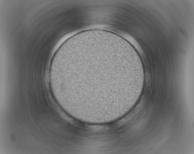 X0000112961436200910081036