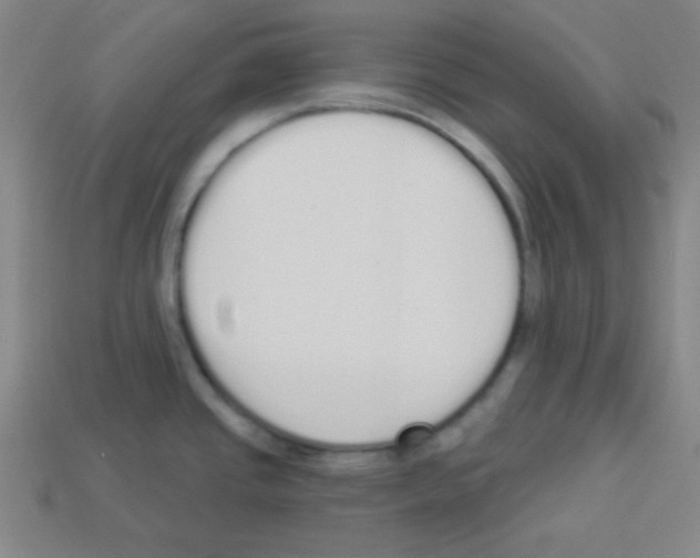 X0000112961437200910081036