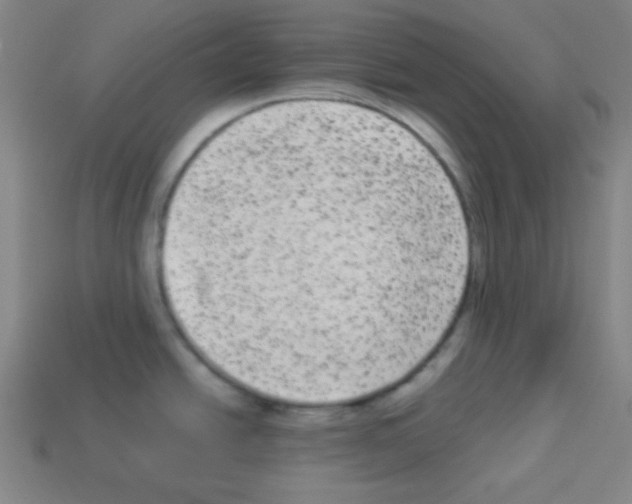 X0000112961438200910081036