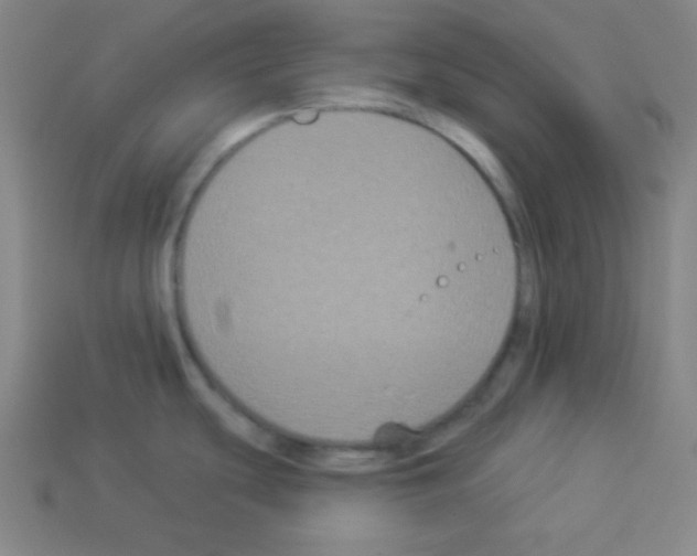 X0000112961439200910081036