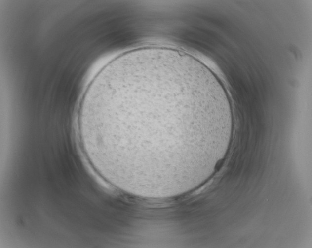 X0000112961440200910081036