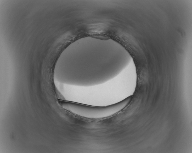 X0000112961441200910081036