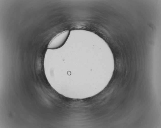 X0000112961442200910081036