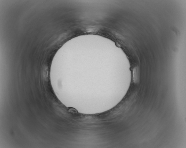 X0000112961443200910081036