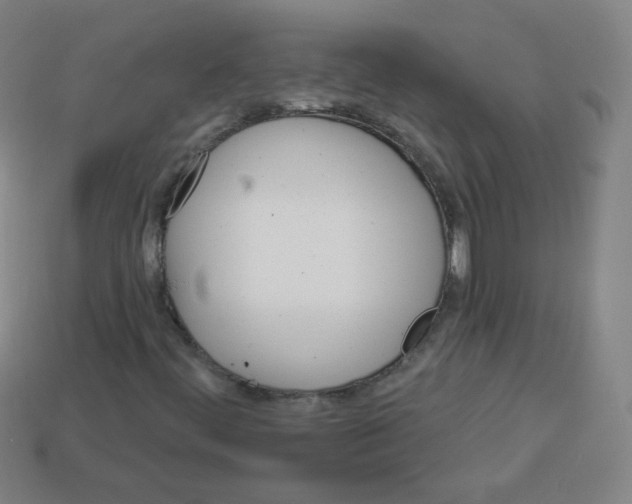 X0000112961444200910081036