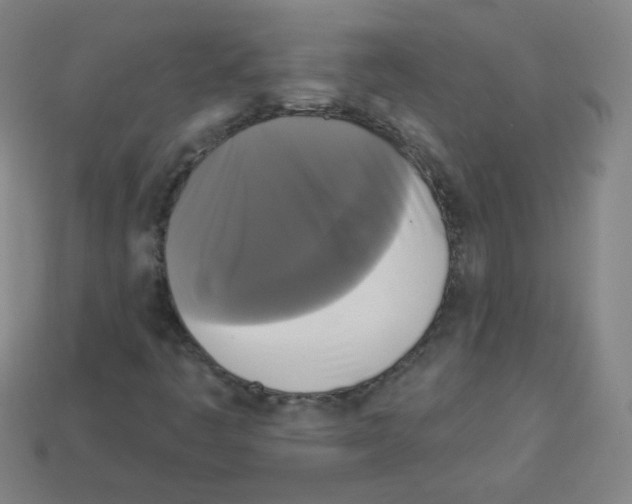 X0000112961445200910081036