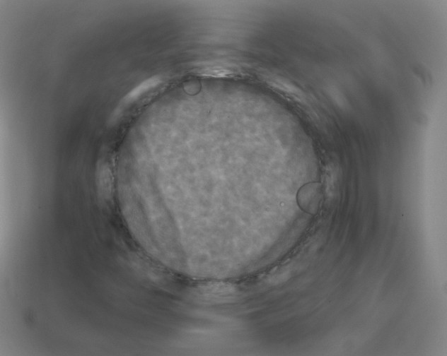 X0000112961446200910081036