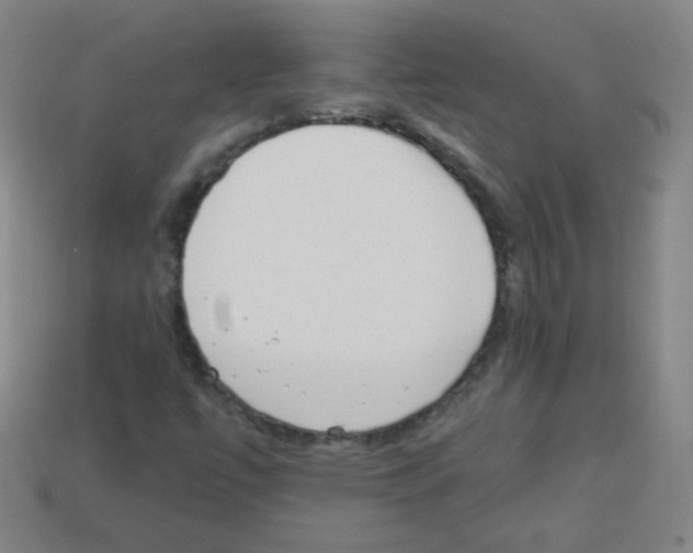 X0000112961447200910081036