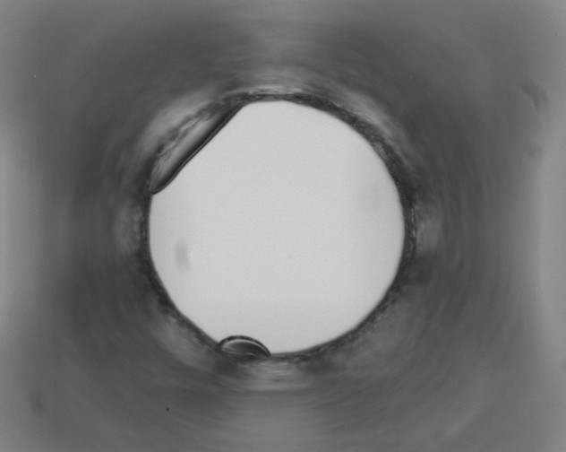 X0000112961448200910081036