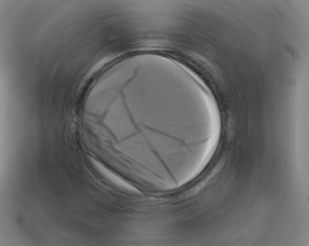 X0000112961449200910081036