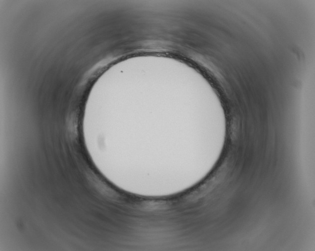 X0000112961451200910081036