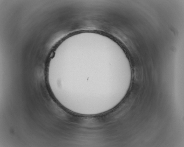 X0000112961452200910081036