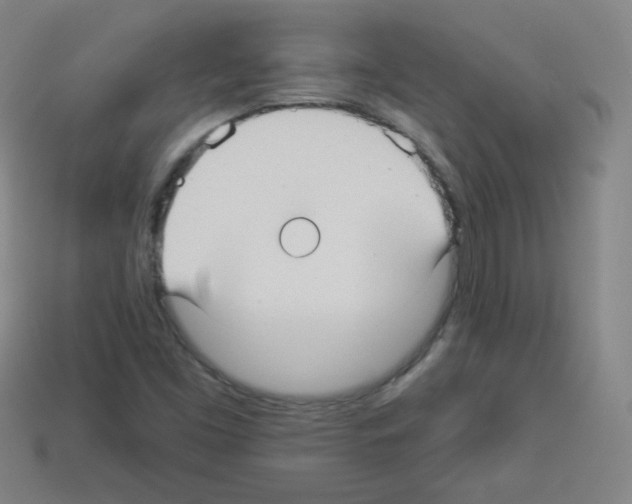 X0000112961453200910081036