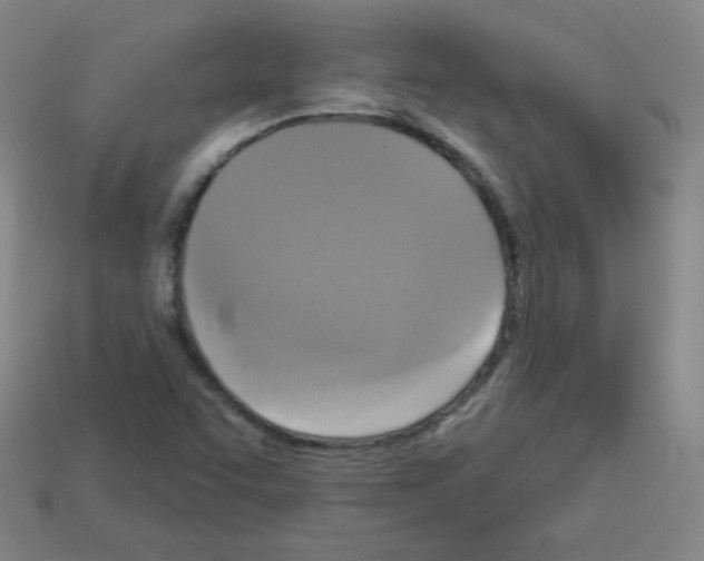 X0000112961455200910081036