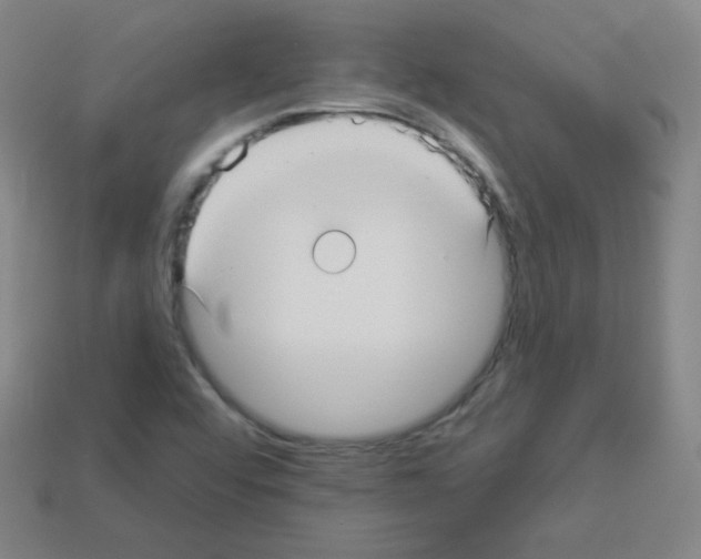 X0000112961456200910081036