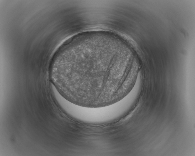 X0000112961457200910081035