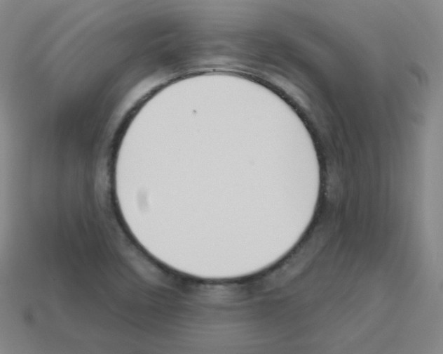 X0000112961458200910081035