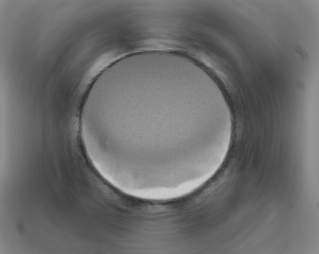 X0000112961459200910081035