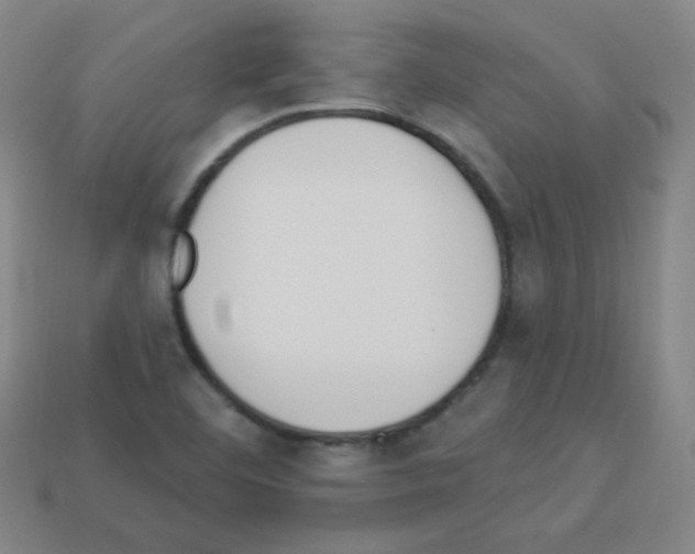 X0000112961460200910081035