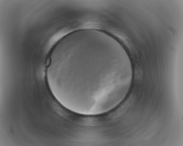 X0000112961461200910081035