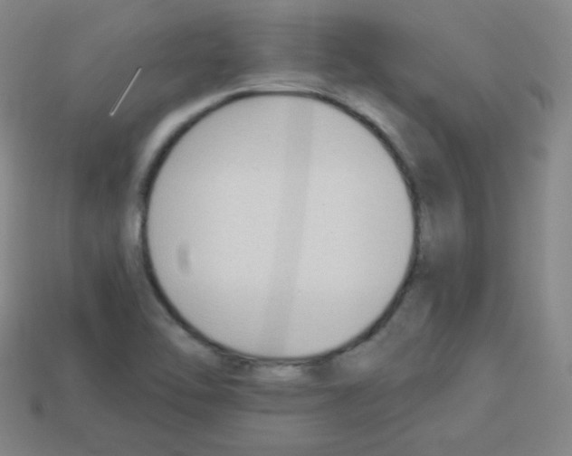 X0000112961462200910081035