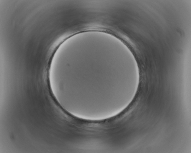 X0000112961463200910081035