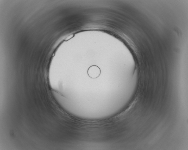 X0000112961465200910081035