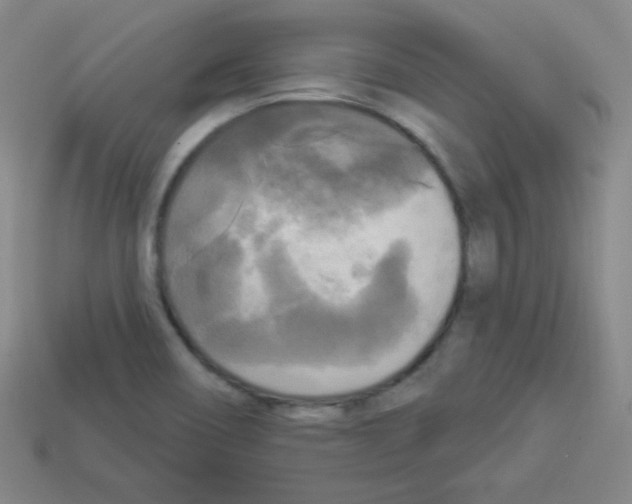 X0000112961466200910081035