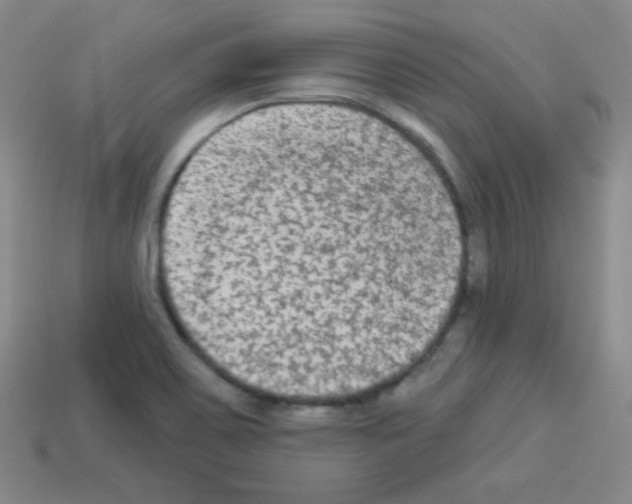 X0000112961467200910081035