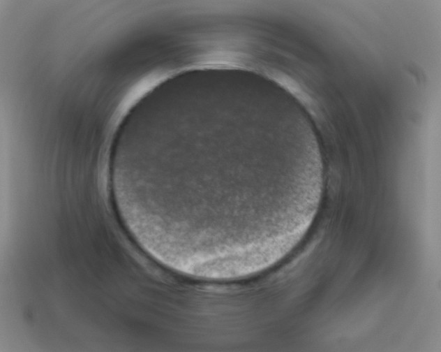 X0000112961469200910081035