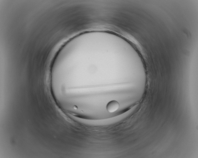 X0000112961472200910081035