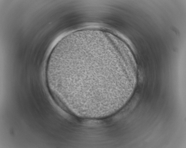 X0000112961475200910081035